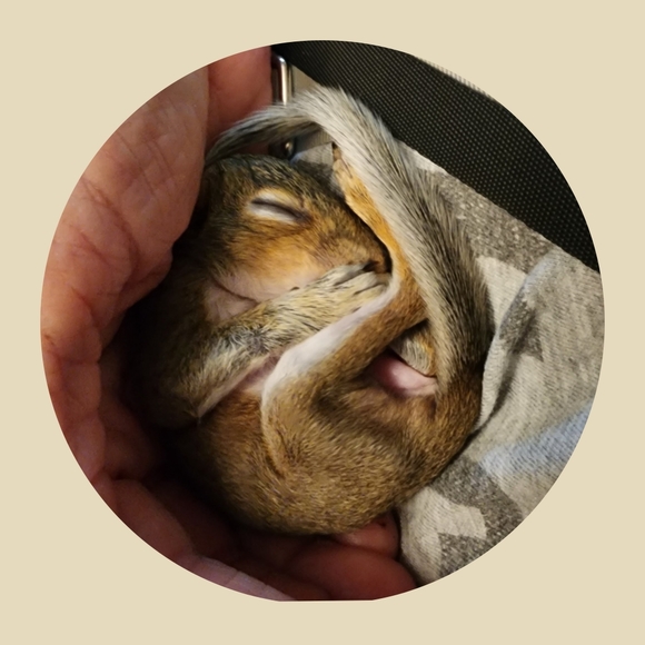 Posh Ambassador II ❤ - Picture 5 of 15